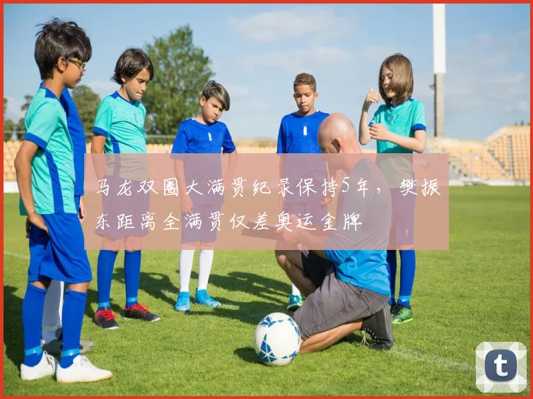 马龙双圈大满贯纪录保持5年,樊振东距离全满贯仅差奥运金牌
